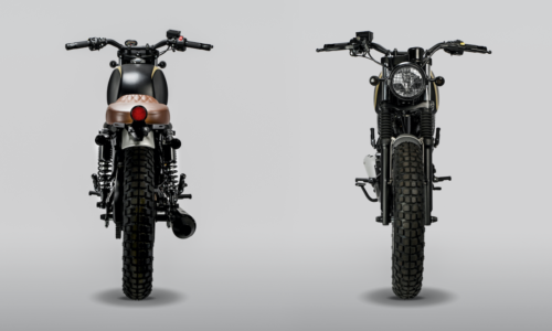 Mutt Akita 125 2 Mutt Akita 125 2