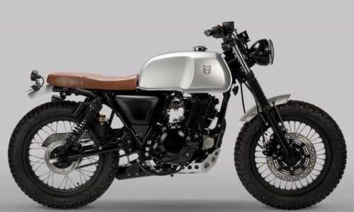 Mutt Akita 250 1 Mutt Akita 250 1