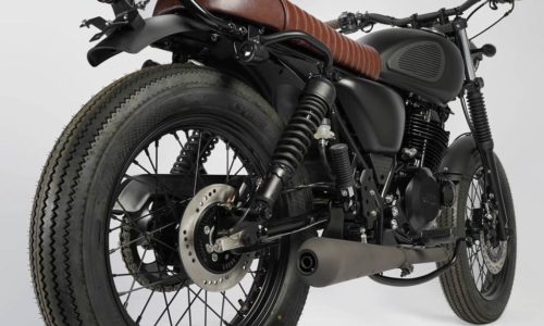 Mutt Mongrel 1 Mutt Mongrel 1